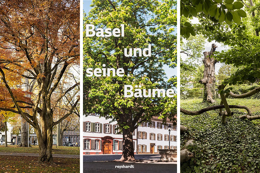 Vortrag «Basel und seine Bäume»: Helen Liebendörfer, 23. Mai 2023