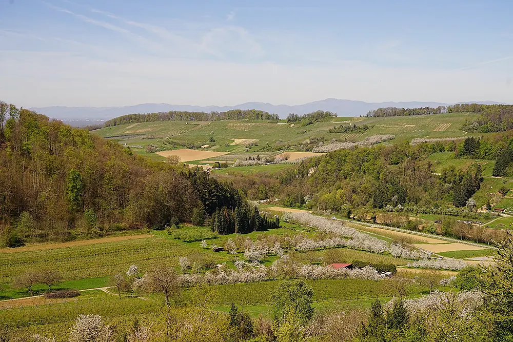 Einladung zur Radiästhesie- und Geomantie-Exkursion mit Ulrich Gläser zum Hagschutz, Niedereggenen, im Schwarzwald. Samstag, 20. Juni 2026 (Gesellschaft für Radiästhesie und Geomantie Region Basel)