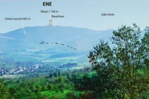Vortrag «Begegnung mit geistigen Wesen in der Natur»: Ulrich Gläser, 19. Mai 2026 (Gesellschaft für Radiästhesie und Geomantie Region Basel)