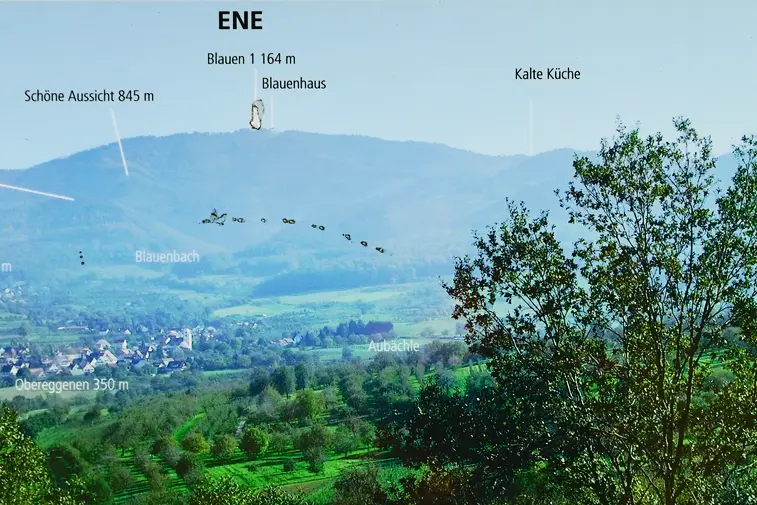 Vortrag «Begegnung mit geistigen Wesen in der Natur»: Ulrich Gläser, 19. Mai 2026 (Gesellschaft für Radiästhesie und Geomantie Region Basel)
